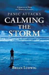 Cover Panic Attacks Calming the Storm