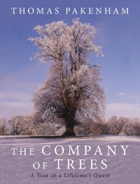 Cover Company of Trees
