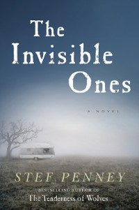 Cover Invisible Ones