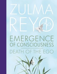 Cover Emergence of Consciousness