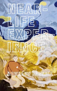 Cover Near-Life Experience