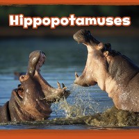 Cover Hippopotamuses