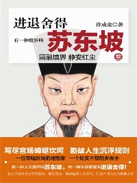 Cover 有一种境界叫苏东坡3