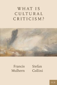 Cover What Is Cultural Criticism?