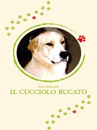 Cover Il cucciolo bucato