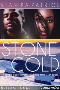 Cover Stone Cold - A Sexy Erotic Romance Novelette from Steam Books
