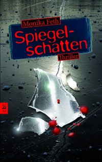 Cover Spiegelschatten