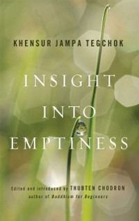 Cover Insight into Emptiness