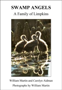 Cover Swamp Angels: A Family of Limpkins