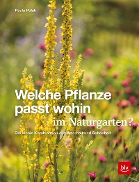 Cover Welche Pflanze passt wohin im Naturgarten?