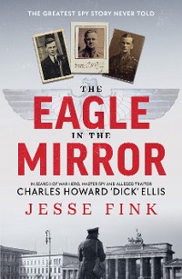 Cover The Eagle in the Mirror