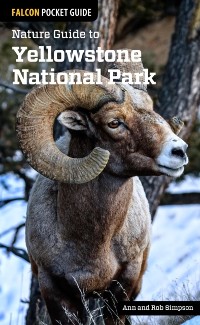 Cover Nature Guide to Yellowstone National Park