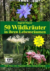 Cover 50 Wildkräuter in ihren Lebensräumen