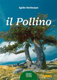 Cover Il Pollino
