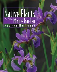Cover Native Plants for Your Maine Garden