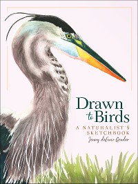 Cover Drawn to Birds