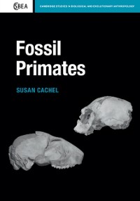 Cover Fossil Primates