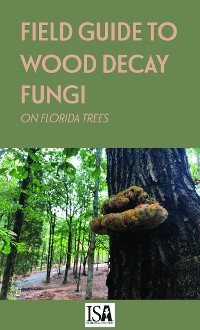 Cover Field Guide to Wood Decay Fungi on Florida Trees