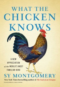 Cover What the Chicken Knows