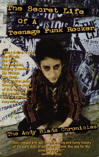 Cover The Secret Life Of A Teenage Punk Rocker