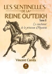 Cover Les sentinelles de la reine Ou’Teikh -Tome 2