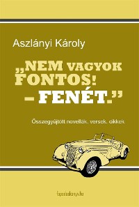 Cover Nem vagyok fontos! – fenét.