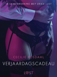 Cover Verjaardagscadeau - erotisch verhaal
