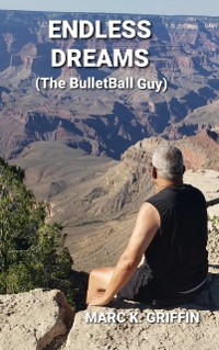 Cover Endless Dreams ( The Bulletball Guy )