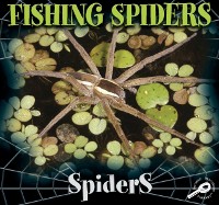 Cover Fishing Spiders