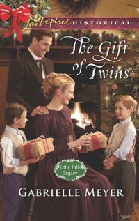 Cover GIFT OF TWINS_LITTLE FALLS3 EB