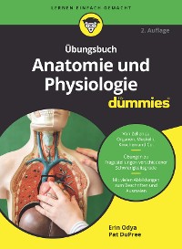 Cover Übungsbuch Anatomie und Physiologie für Dummies