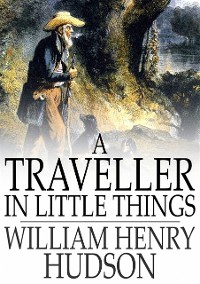 Cover Traveller in Little Things