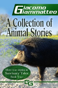 Cover A Collection of Animal Stories
