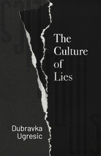 Cover Culture of Lies