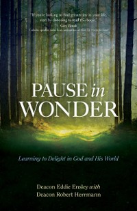 Cover Pause in Wonder