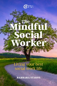 Cover The Mindful Social Worker