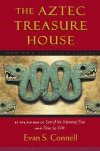 Cover Aztec Treasure House