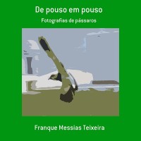 Cover De Pouso Em Pouso