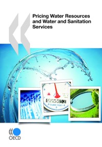 Cover Pricing Water Resources and Water and Sanitation Services