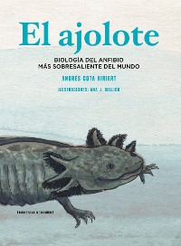 Cover El ajolote