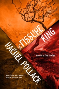 Cover Fissure King