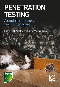 Cover Penetration Testing