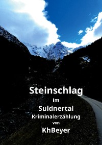 Cover Steinschlag im Suldnertal