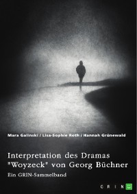 Cover Interpretation des Dramas "Woyzeck" von Georg Büchner. Verschiedene Ansätze
