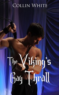 Cover The Viking's Gay Thrall