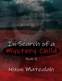 Cover In Search of a Mystery Child Book 3