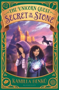 Cover Secret in the Stone