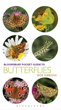 Cover Pocket Guide to Butterflies