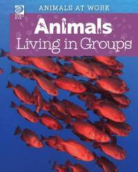 Cover Animals Living in Groups