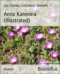 Cover Anna Karenina (Illustrated)